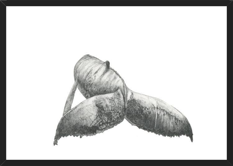 Cuadro Ballena Jorobada Chilena 3