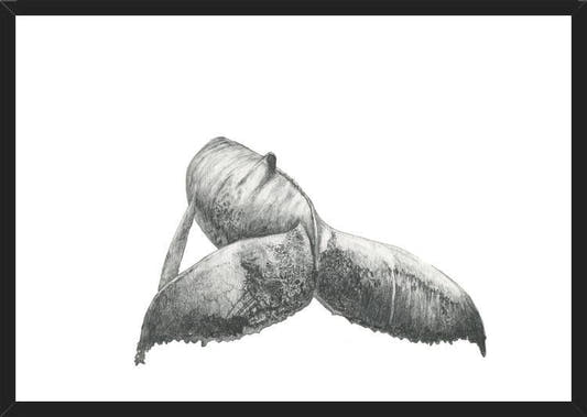 Cuadro Ballena Jorobada Chilena 3