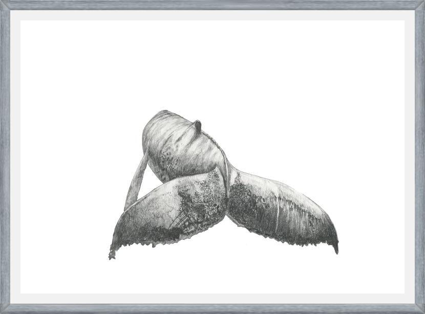 Cuadro Ballena Jorobada Chilena 3