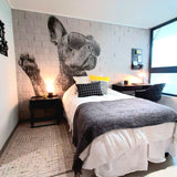 Papel Mural Black Dog