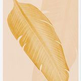 Cuadro Leaves 03y