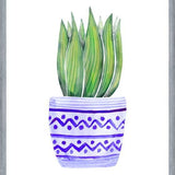 Cuadro The Plant and The Blue Pot