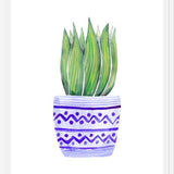 Cuadro The Plant and The Blue Pot