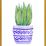 Cuadro The Plant and The Blue Pot