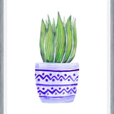 Cuadro The Plant and The Blue Pot