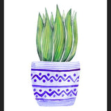 Cuadro The Plant and The Blue Pot