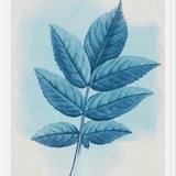 Cuadro Leaves 04b