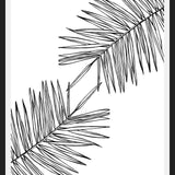 Cuadro B&W Palm leaves