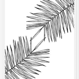 Cuadro B&W Palm leaves