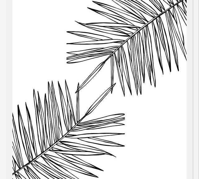 Cuadro B&W Palm leaves