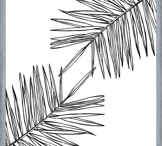 Cuadro B&W Palm leaves
