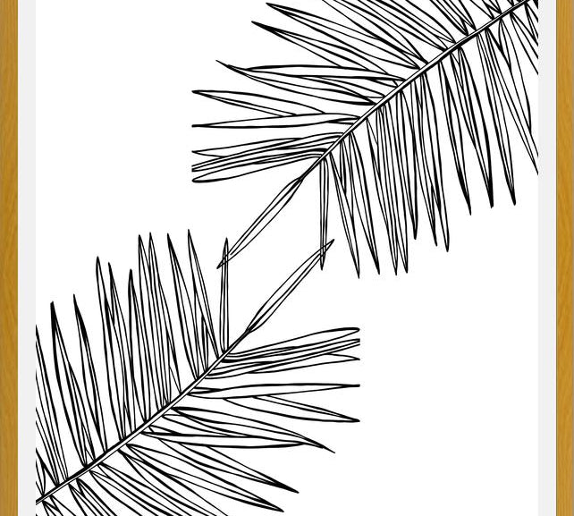 Cuadro B&W Palm leaves