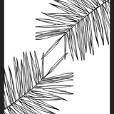 Cuadro B&W Palm leaves