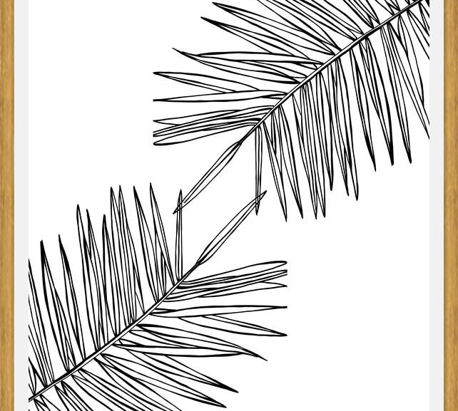 Cuadro B&W Palm leaves