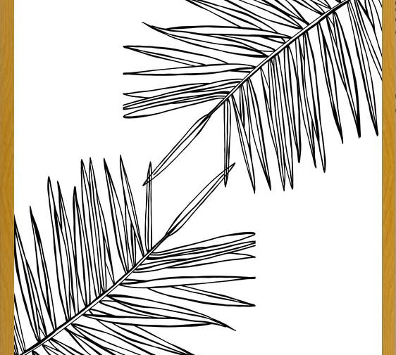Cuadro B&W Palm leaves