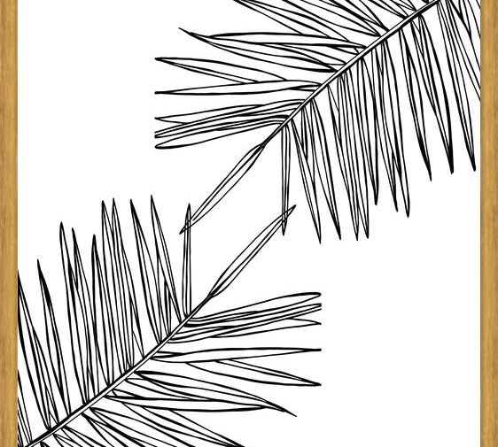 Cuadro B&W Palm leaves