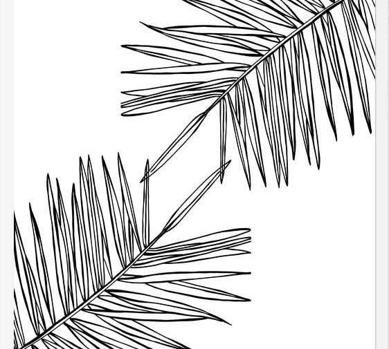 Cuadro B&W Palm leaves