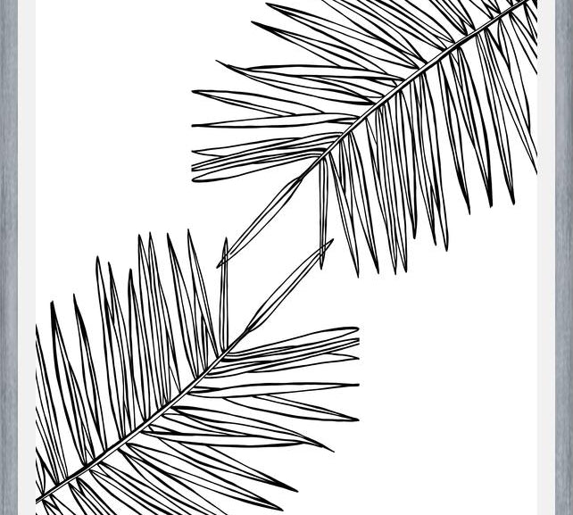 Cuadro B&W Palm leaves