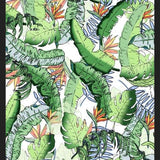 Cuadro Tropical Jungle