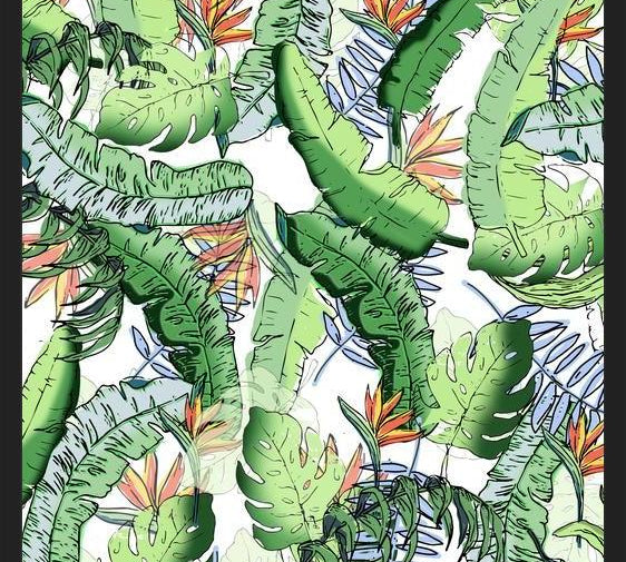 Cuadro Tropical Jungle