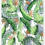 Cuadro Tropical Jungle