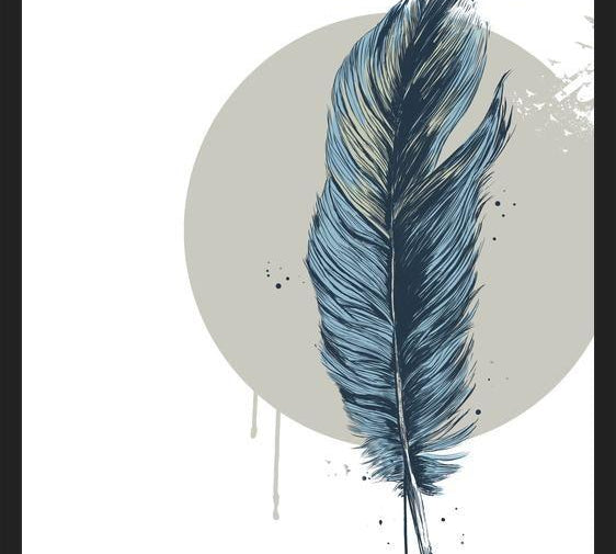 Cuadro Feather in a  circle