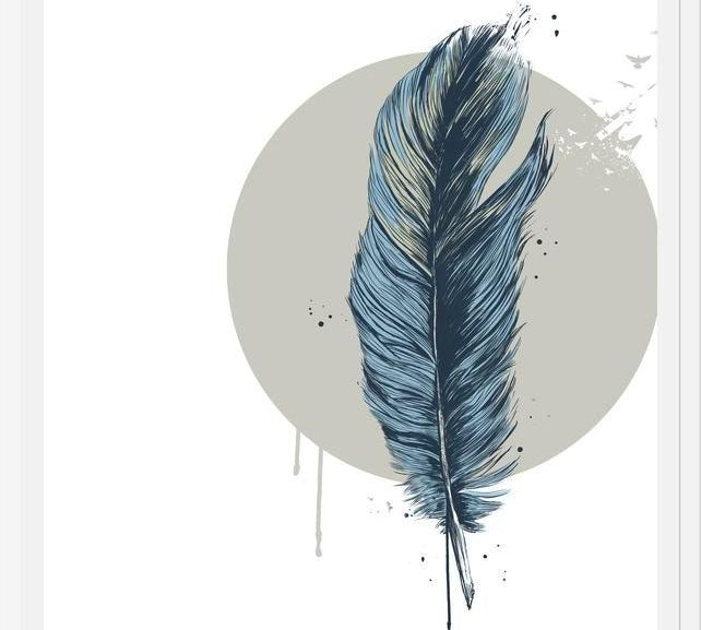 Cuadro Feather in a  circle