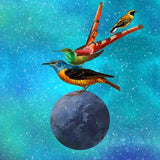 Canvas Birds Planet