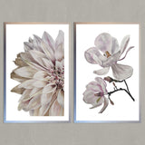 Set de Cuadros Flor Magnolia y Dalia II