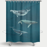 Cortina de Baño Ballena Jorobada, Ballena Azul y Ballena Minke