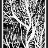 Cuadro Colección Texturas del Desierto - 2