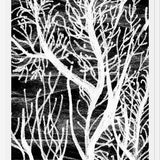 Cuadro Colección Texturas del Desierto - 2