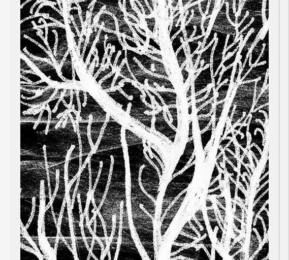 Cuadro Colección Texturas del Desierto - 2