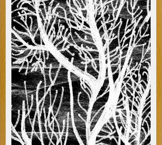 Cuadro Colección Texturas del Desierto - 2