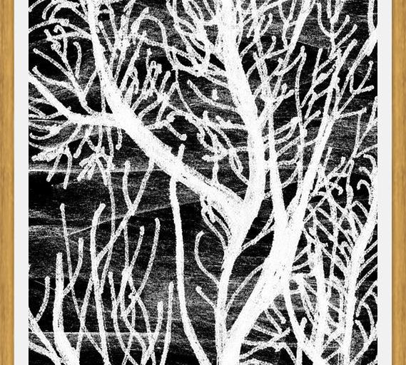 Cuadro Colección Texturas del Desierto - 2