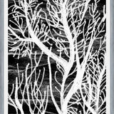 Cuadro Colección Texturas del Desierto - 2