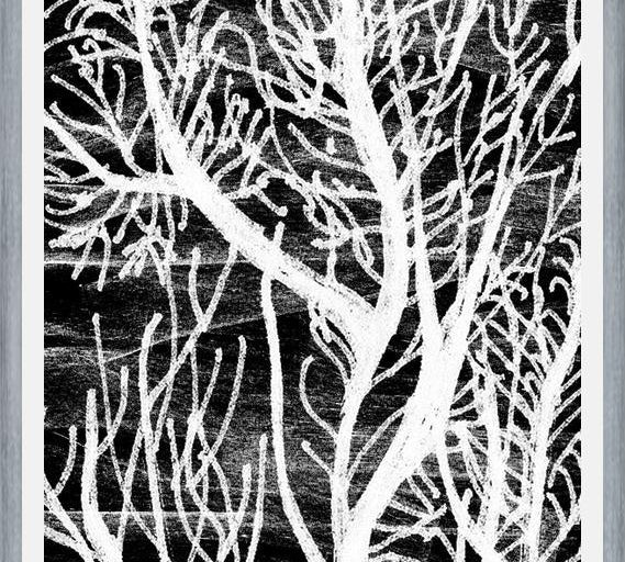 Cuadro Colección Texturas del Desierto - 2