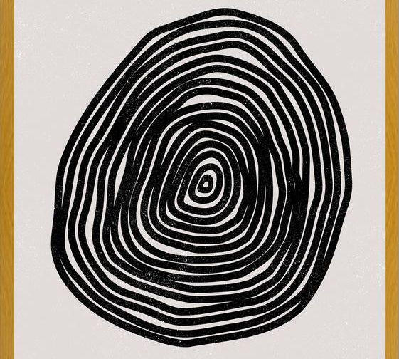 Cuadro Earth Collection - Loop