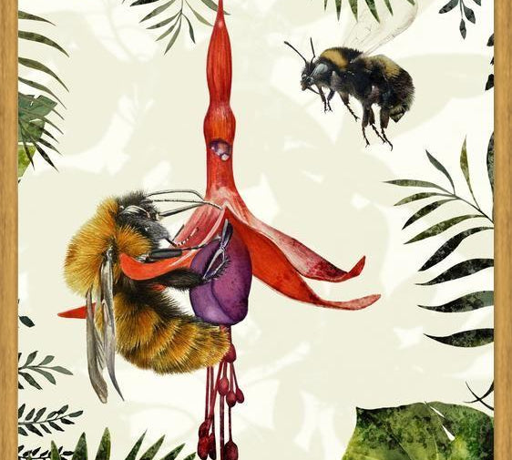 Cuadro Bombus