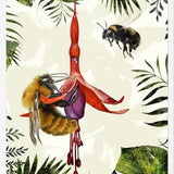 Cuadro Bombus