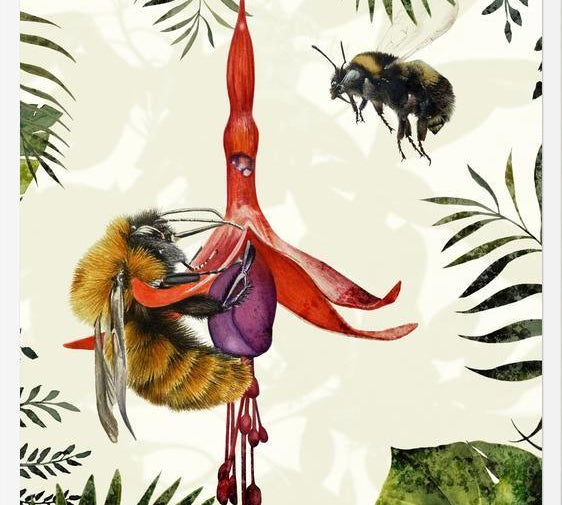 Cuadro Bombus