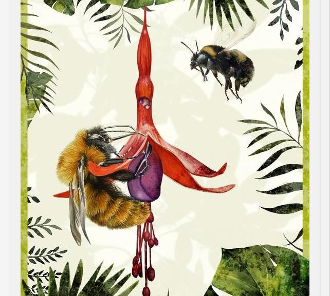 Cuadro Bombus