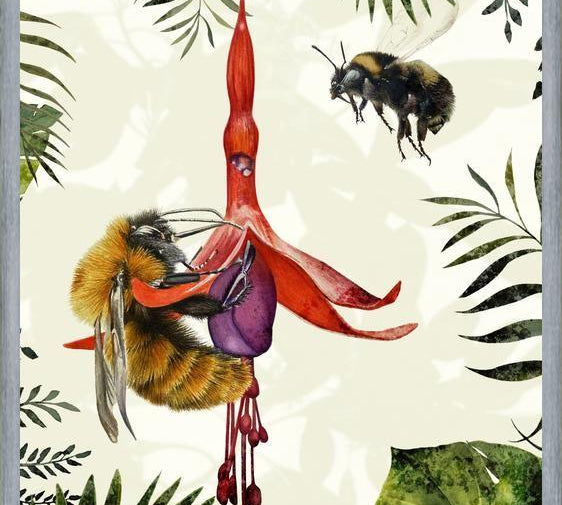 Cuadro Bombus