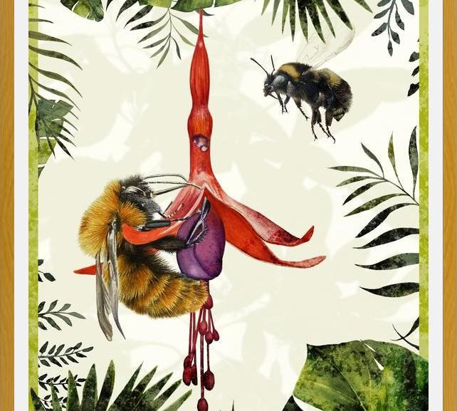 Cuadro Bombus