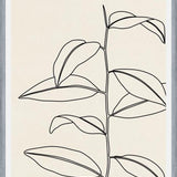 Cuadro Leaves In Line