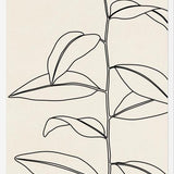 Cuadro Leaves In Line