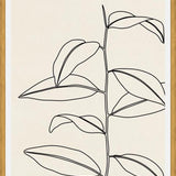 Cuadro Leaves In Line