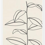 Cuadro Leaves In Line