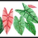 Cuadro alocasia