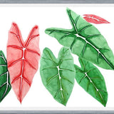 Cuadro alocasia